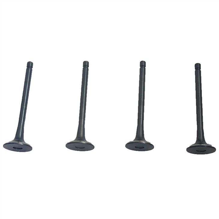 1003011FA ВЫПУСКНЫЕ КЛАПАНЫ